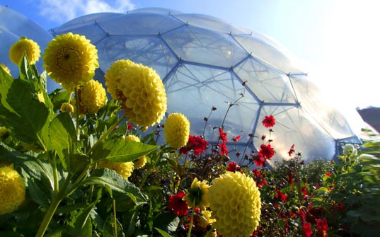 eden project				